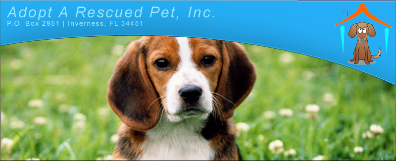 Pet inc deals